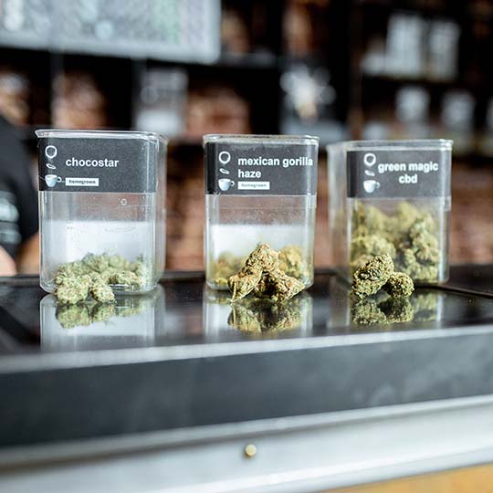 Excursion-Expert-Amsterdam_540x540_Coffeeshop-Tour_03